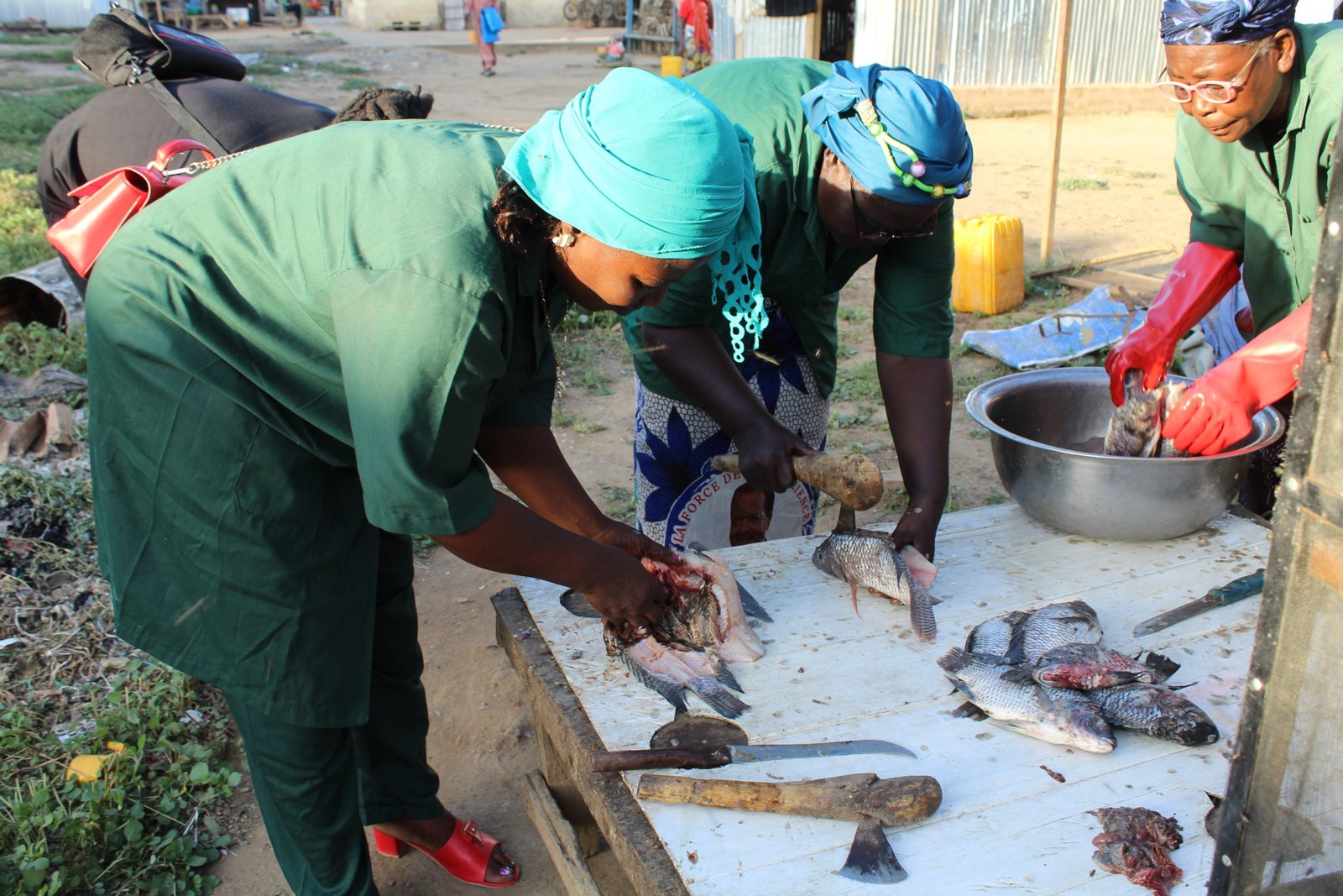 L’ÉLEVAGE — Pilier du développement rural en Afrique centrale