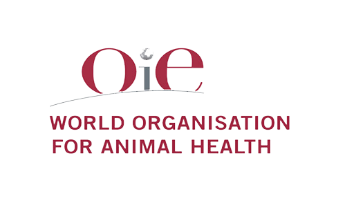 LOrganisation-Mondiale-de-la-Sante-Animale-recrute-pour-ce-poste-19-Octobre-2021