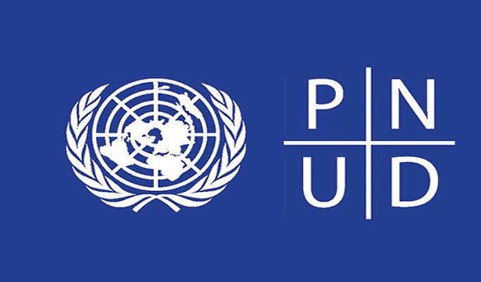 UNDP Logo_0