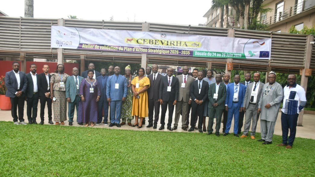 Les Etats membres de la CEMAC valident le Plan d’Action Stratégique (PAS) 2026-2035 de la CEBEVIRHA 